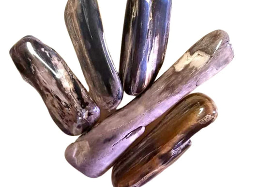 Petrified Wood
